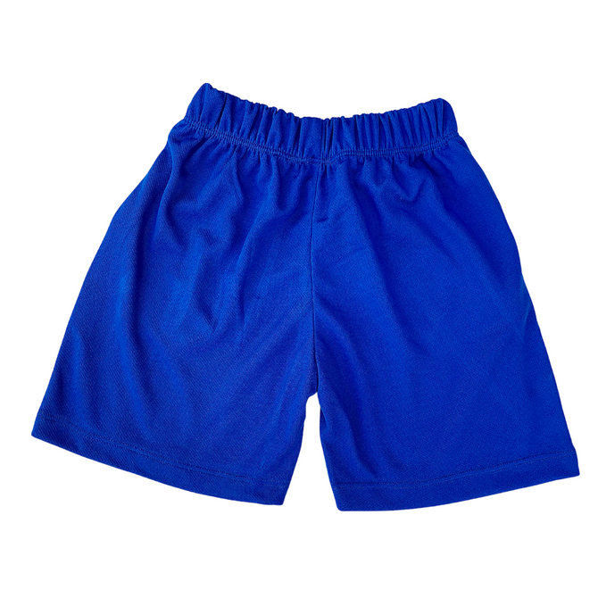 Royal Blue Mesh Short