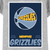 Grizzlies in Grey Graphics Tee